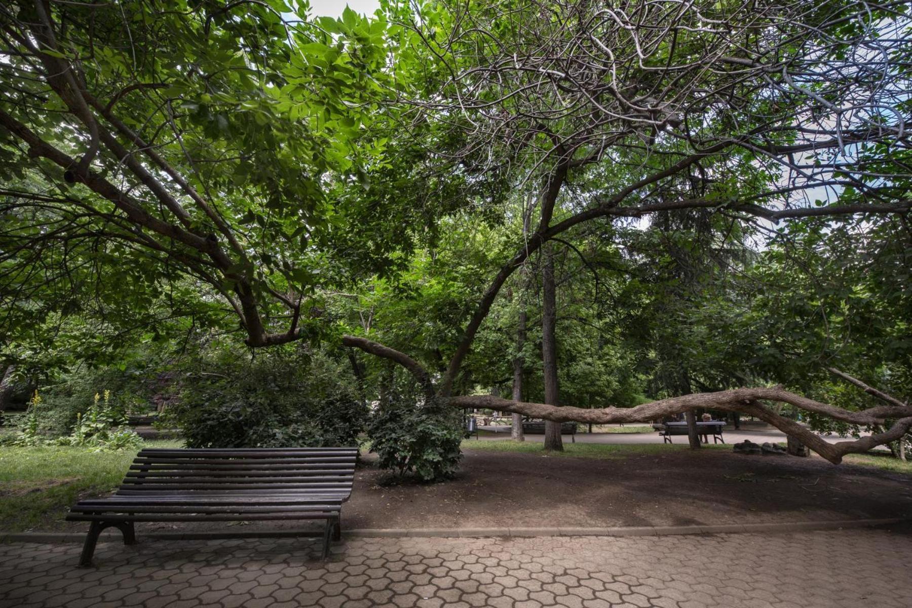 Rainforest Studio Downtown By Pretty Apartments Bucarest Exterior foto